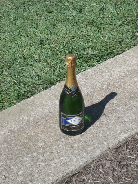 Champagne Bottle.jpg